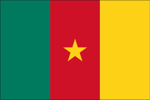 Cameroon Flag